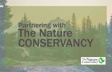 nature conservancy criticism|is the nature conservancy reputable.